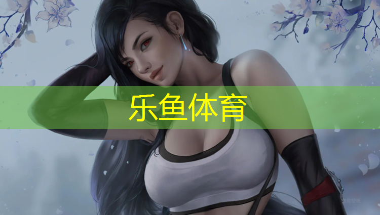 乐鱼体育官方网站,网球网拉网带