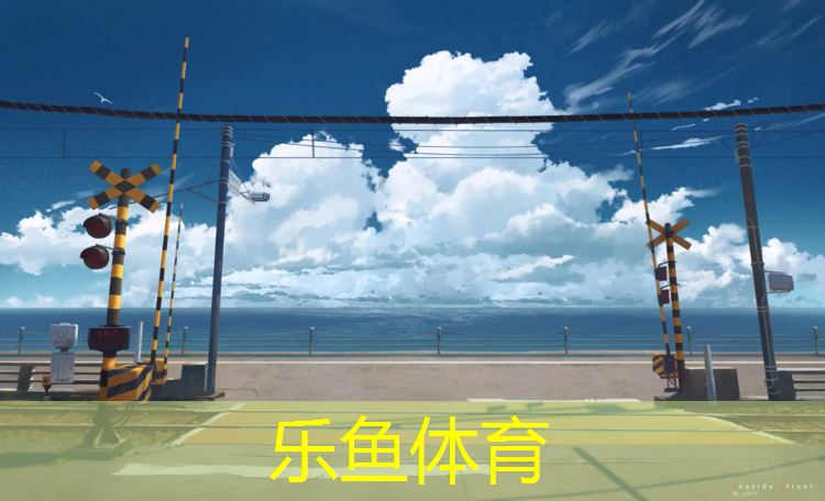 乐鱼体育,男子体操手拿的什么球