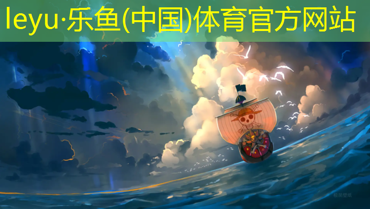 乐鱼体育官方网站,透气式塑胶跑道单价
