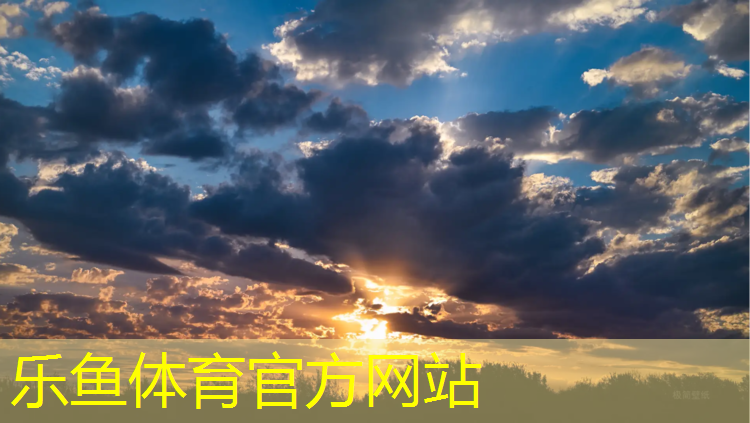 乐鱼体育,嘉祥全塑型塑胶跑道价格