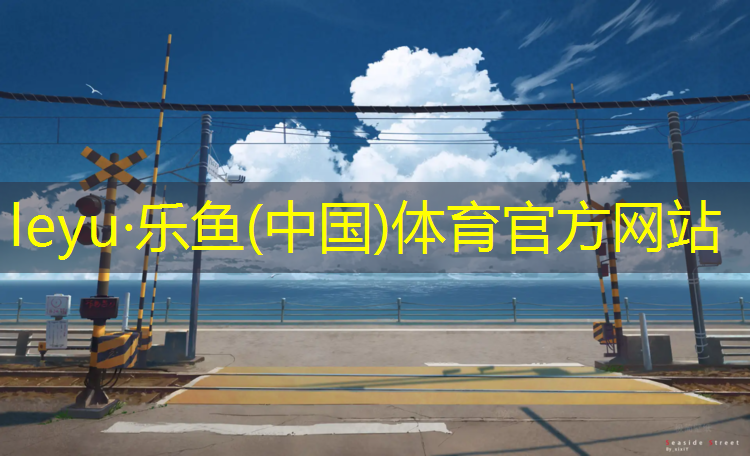 男子体操手拿的什么球